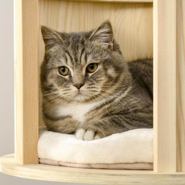 Katzenbaum Kratzbaum mit drei Ebenen Haus und Kissen, Natur+Creme - Palo24