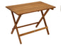 Table de jardin table pliante table d'appoint table de camping table en bois DANA 90x52cm, bois