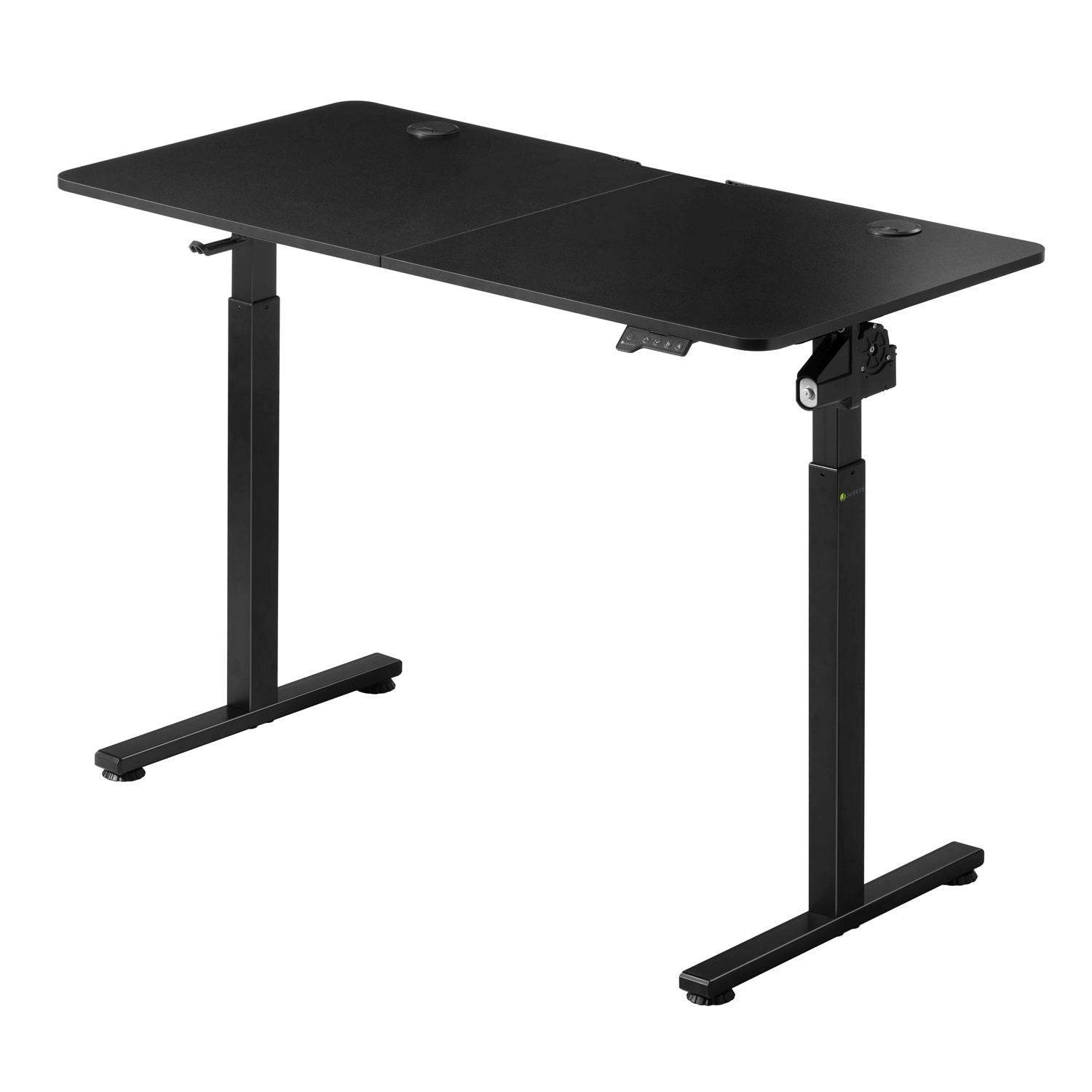 Elektrisch verstellbarer Schreibtisch 120x60 cm Schwarz - Palo24