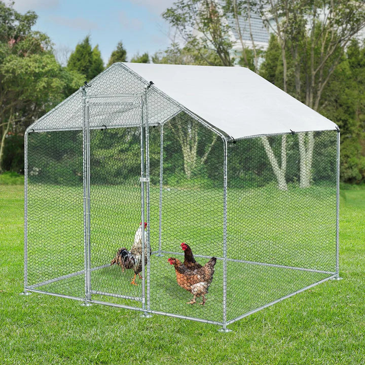 Freilaufgehege HLS25T 2x2x2 m für Hühner