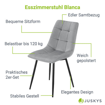 Esszimmerstuhl Blanca 8er Set mit Samt Hellgrau