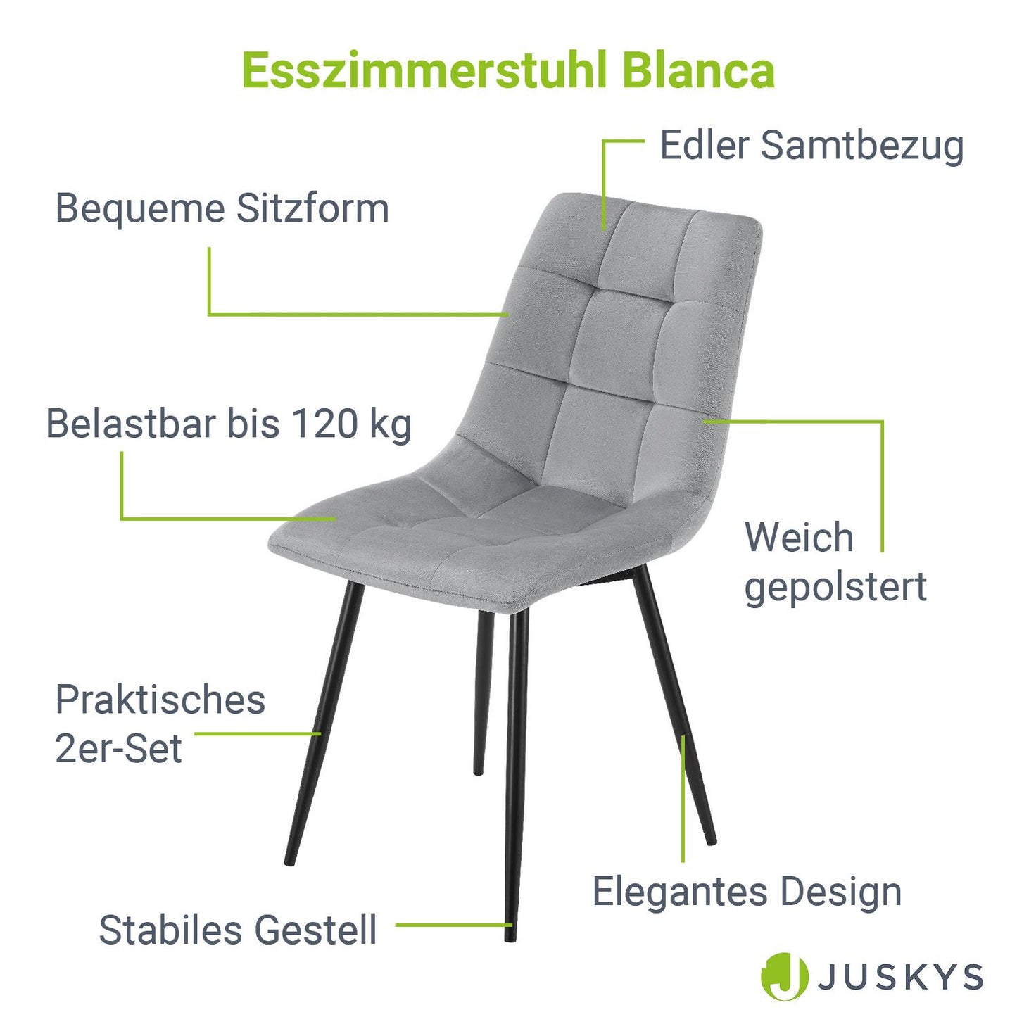 Esszimmerstuhl Blanca 4er Set mit Samt Hellgrau