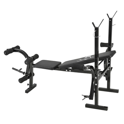 Banc de musculation multifonctionnel ProfiGym 1000