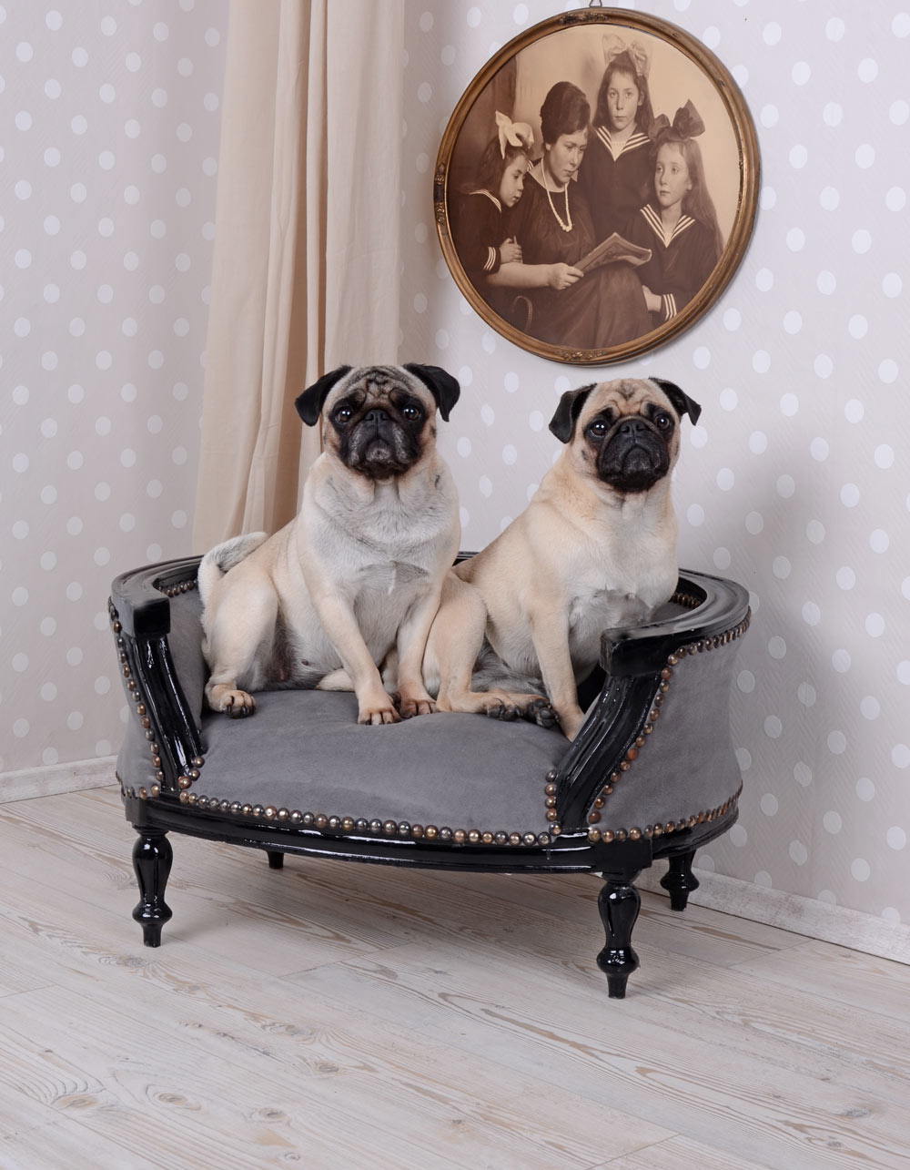 LIT ROYAL POUR CHIEN CANAPÉ POUR CHIEN STYLE BAROQUE CARLIN BULLY NOIR GRIS