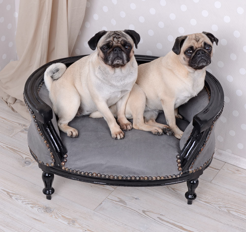 LIT ROYAL POUR CHIEN CANAPÉ POUR CHIEN STYLE BAROQUE CARLIN BULLY NOIR GRIS