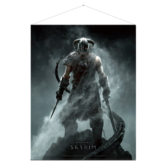 Skyrim - Wallscroll / Wandposter, Dragonborn