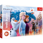 Disney Frozen 2 - Die Magische Reise - Maxi Puzzle 24 Teile