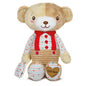 Baby Clementoni 17418 - Bob, der Kuschelteddy