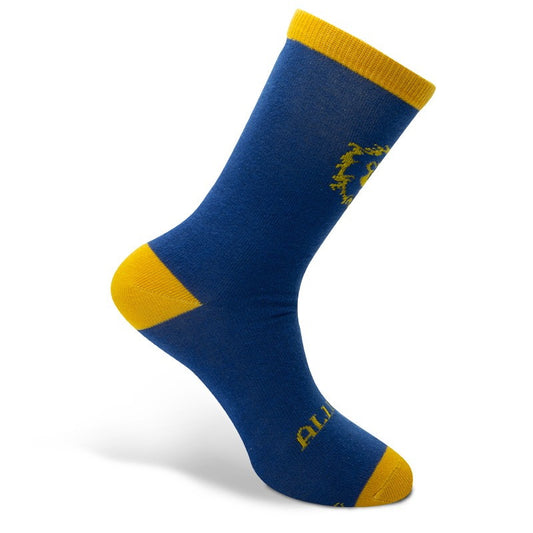 WORLD OF WARCRAFT - Socken "Alliance"