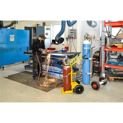 Gasflaschenwagen Gelb - Palo24