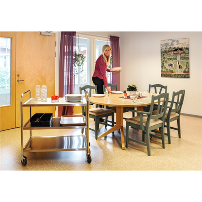 Edelstahlwagen mit 3 Böden und einer Vielzahl von Anwendungsmöglichkeiten - Palo24