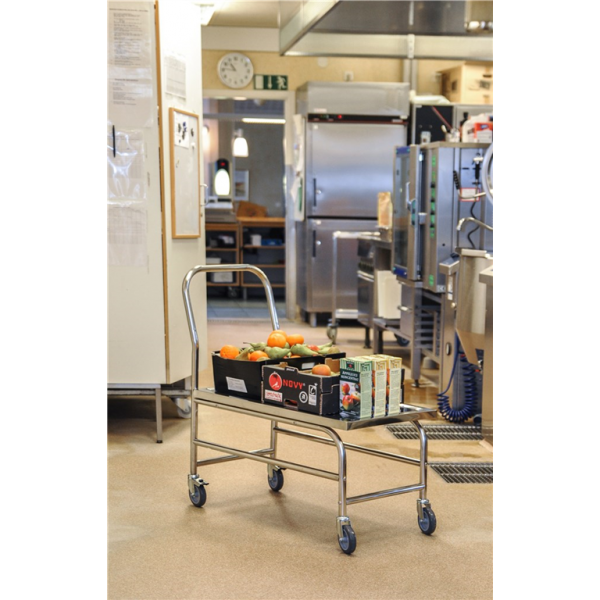 Stabiler Edelstahl Plattformwagen, Klasse C2 Edelstahl 18/0 - Palo24