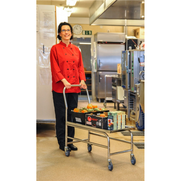 Stabiler Edelstahl Plattformwagen, Klasse C2 Edelstahl 18/0 - Palo24