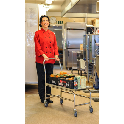 Stabiler Edelstahl Plattformwagen, Klasse C2 Edelstahl 18/0 - Palo24