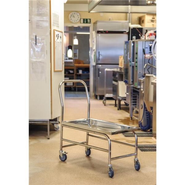 Stabiler Edelstahl Plattformwagen, Klasse C2 Edelstahl 18/0 - Palo24