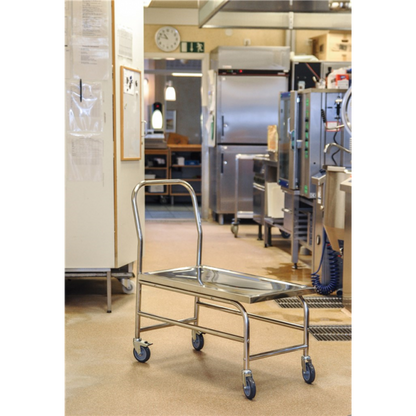 Stabiler Edelstahl Plattformwagen, Klasse C2 Edelstahl 18/0 - Palo24