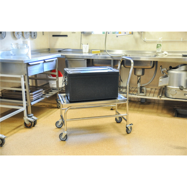 Stabiler Edelstahl Plattformwagen, Klasse C2 Edelstahl 18/0 - Palo24