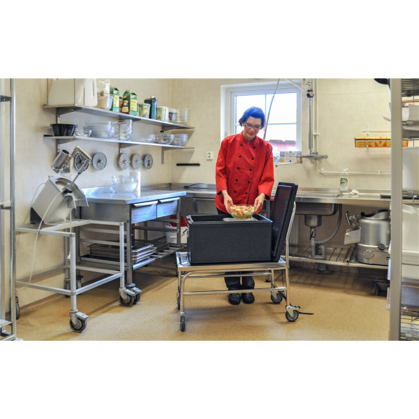 Stabiler Edelstahl Plattformwagen, Klasse C2 Edelstahl 18/0 - Palo24