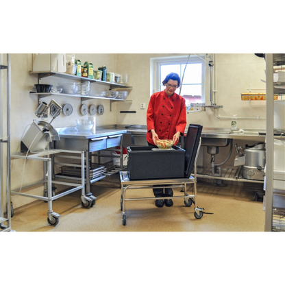 Stabiler Edelstahl Plattformwagen, Klasse C2 Edelstahl 18/0 - Palo24